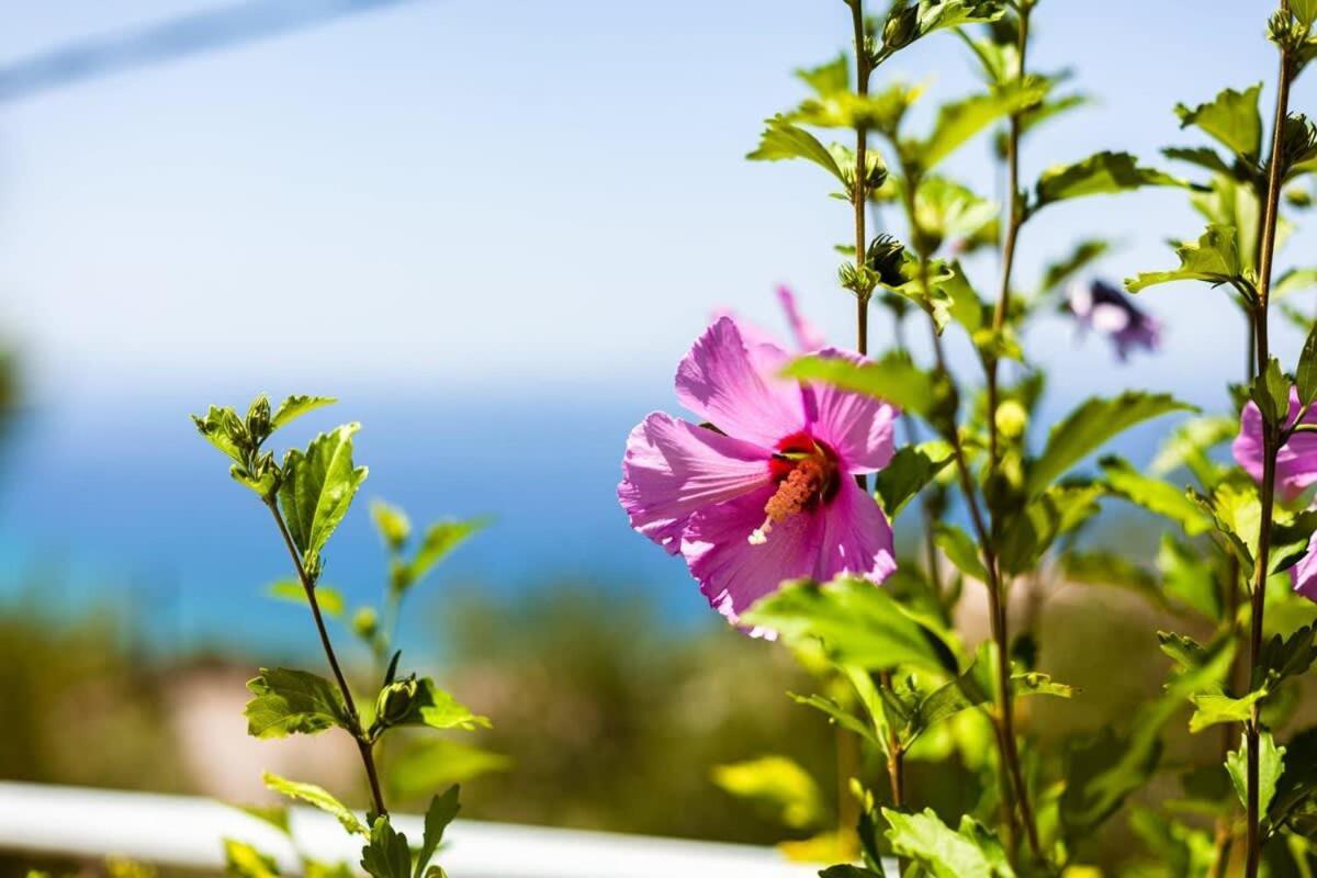 Aigli Fully Equipped Getaway - Seaview Lux Retreat Villa Kalamata Exteriör bild